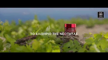 APIVITA WINE ELIXIR